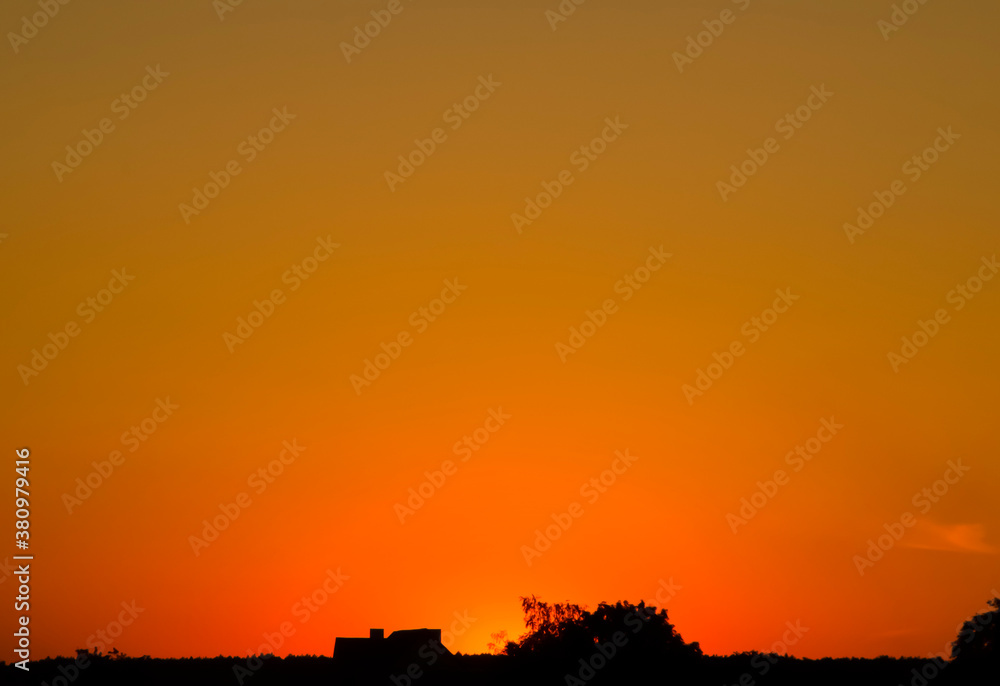 Orange sun set with trees horizon