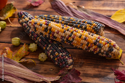 Cuadro en lienzo Native American Corn on a Wooden Background