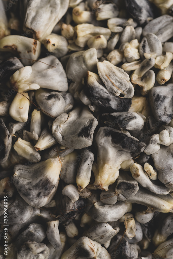 Huitlacoche corn edible fungus, traditional mexican dish Huitlacoche corn edible fungus, traditional mexican dish