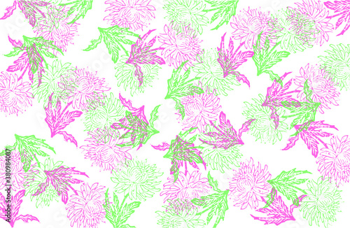 Vector aster pattern. Background with aster illustration. Engraving aster. Floral colored background. Pink and green floral background.  Modern background.