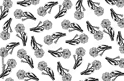 Vector poppy pattern. Poppy background. Engraving poppy. Floral black and white background.