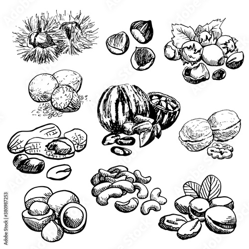 Nuts set. Collection elements. Black and white graphics sketch. Hand drawn .Cashew, walnut, nutmeg, chestnut, brazilian nut, peanut, pistachio, hazelnut, macadamia