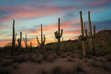Vibrant sunset of Saguaro cactus in Arizona