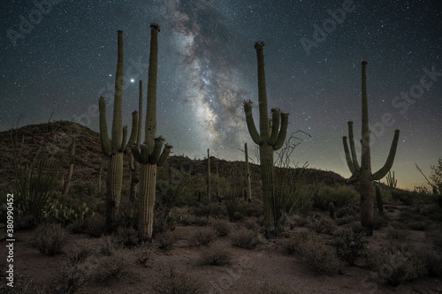 Milky Way Galaxy in the desert with Saguaro cactus in Arizona