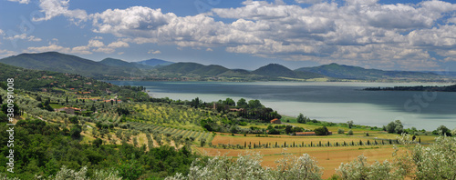 Panorama of olive groves sloping to Lake Trasimeno in Umbria Italy photo