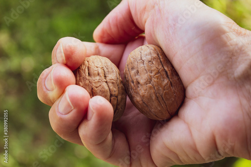 Cracking walnuts with one hand