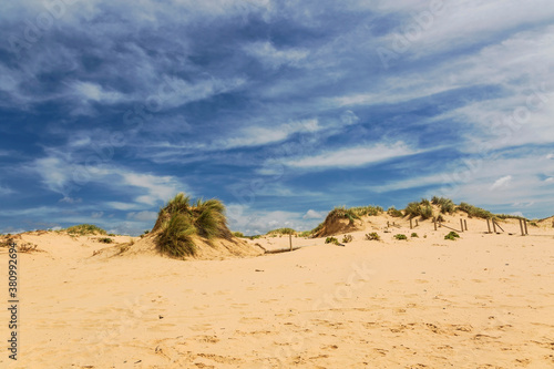 Dunes and sea landscape at the Amoreira beach in Portugal