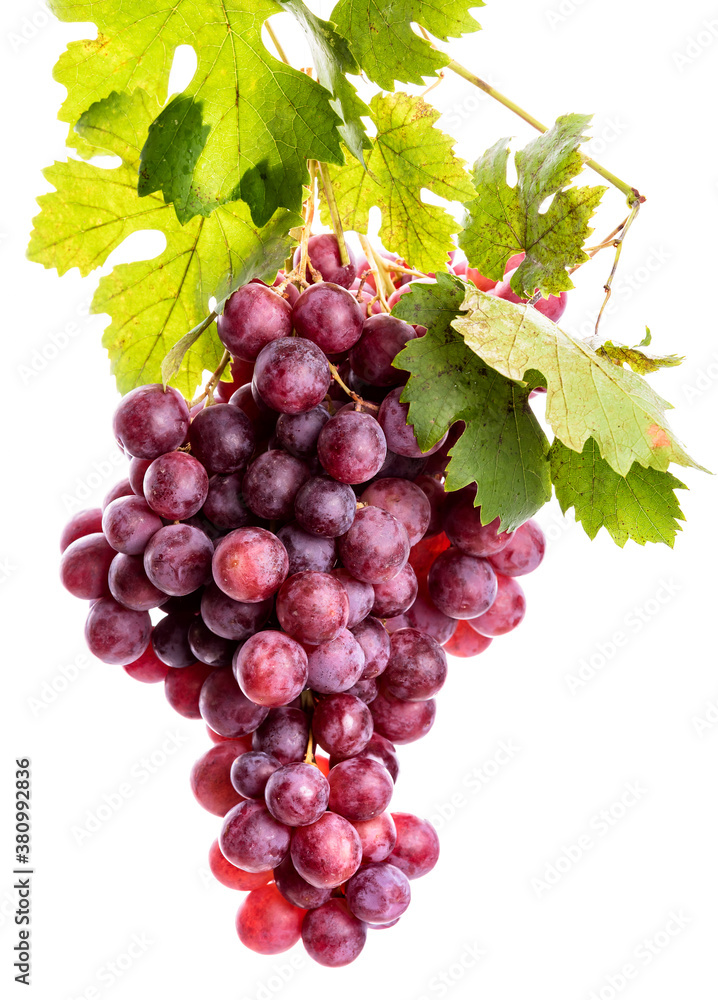 Fototapeta premium bunch of pink grapes with green leaves on a white background. isolate
