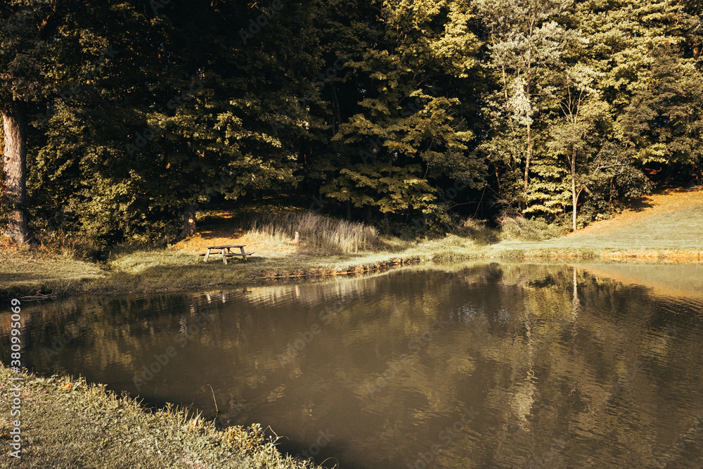 Bench by a Pond Bench by a Pond