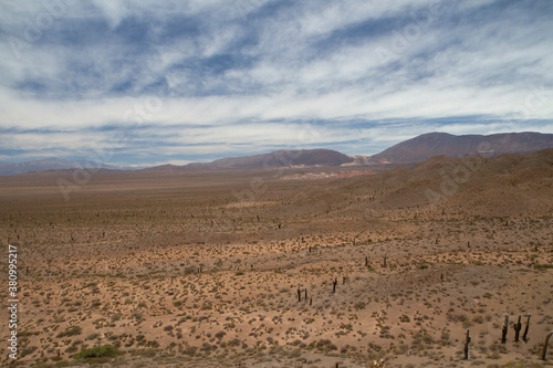 Desert landscape. View of the arid land  valley  vegetation and mountains in the horizon.