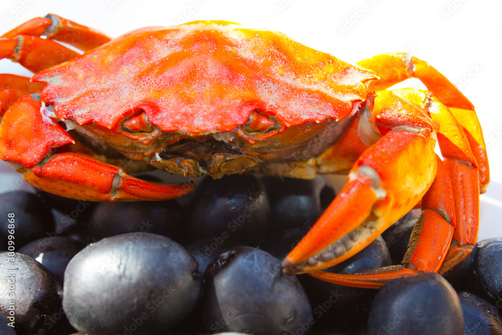 red crab with black olives on the plate red crab with black olives on the plate
