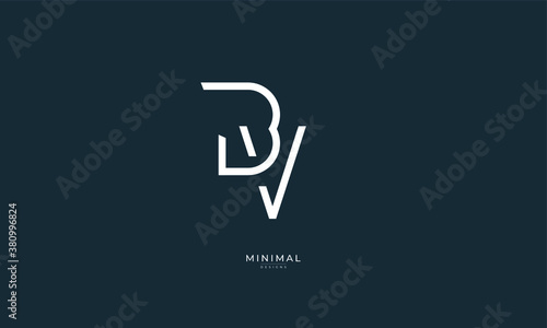 Alphabet letter icon logo BV © iDESIGN_4U