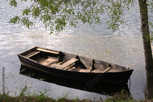 Barco a remo de madeira velho parado num lago  esquecido envelhecido sem pessoas por entre os ramos de uma   rvore