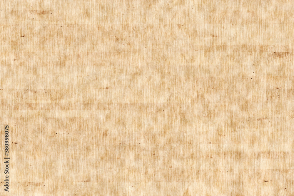 Fototapeta premium birch wooden background texture structure backdrop