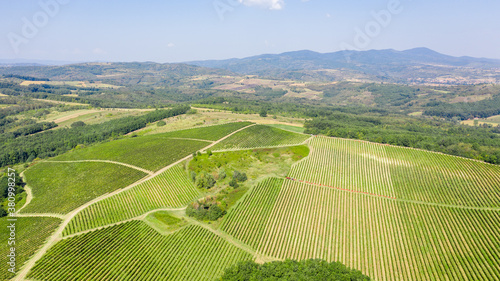 Aerial shot of rows of vineyards with grapevine and winery, drone shot