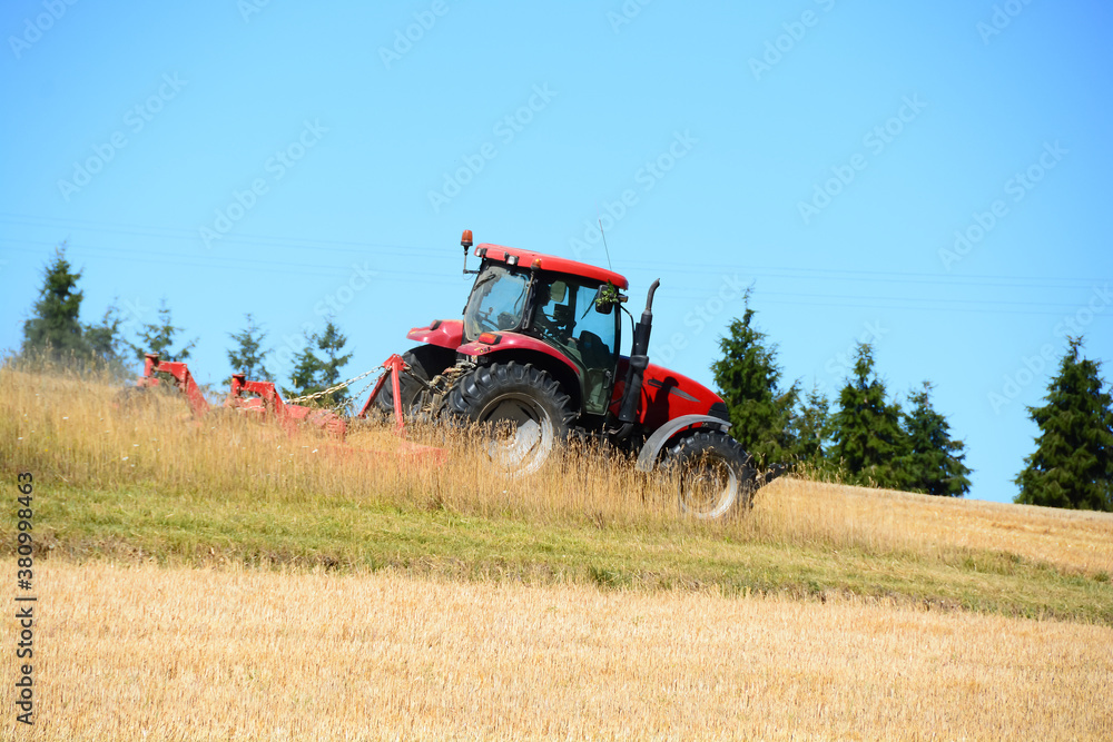 Fototapeta premium Moisson