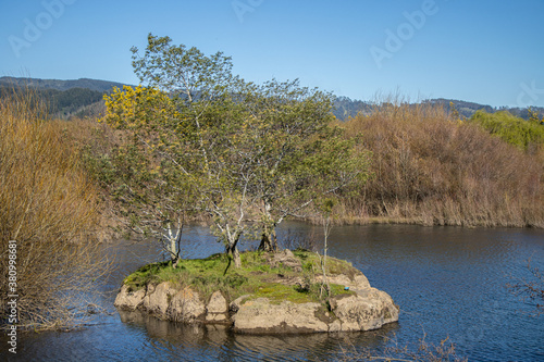 Piedra y Árbol en medio del Rio, Sector Peñehue, comuna de Teodoro Schmidt, Región de la Aucanía Chile photo