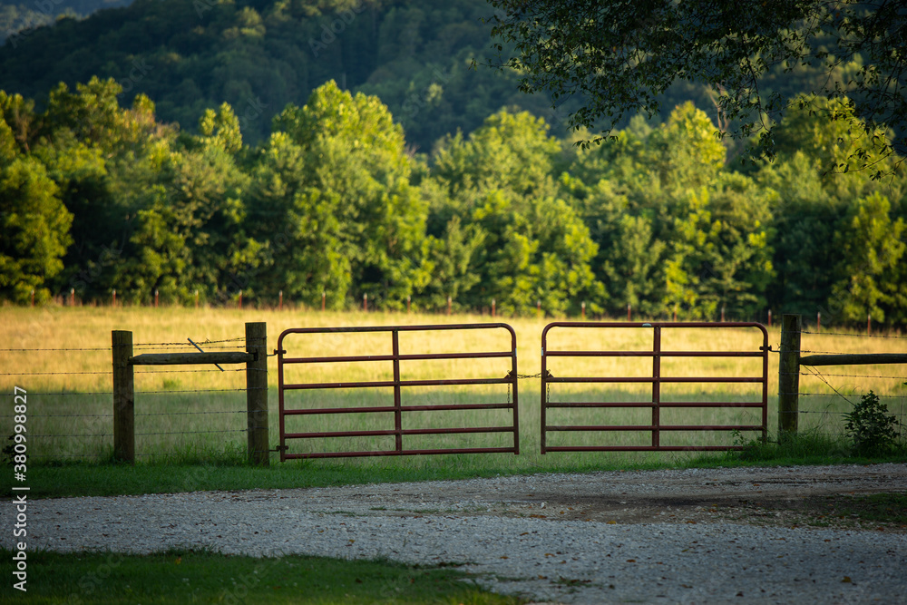Closed gate at entrance to grassy field near forest at a mountainside Closed gate at entrance to grassy field near forest at a mountainside