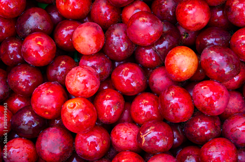 Red juicy cherry plum berries close up Red juicy cherry plum berries close up