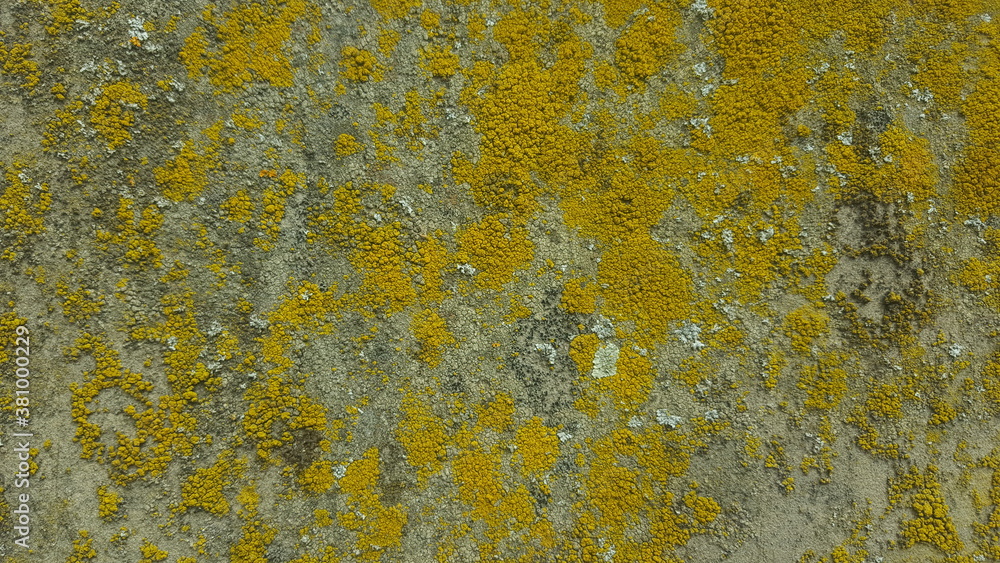 natural stone wall ground background wallpaper backdrop surface natural stone wall ground background wallpaper backdrop surface
