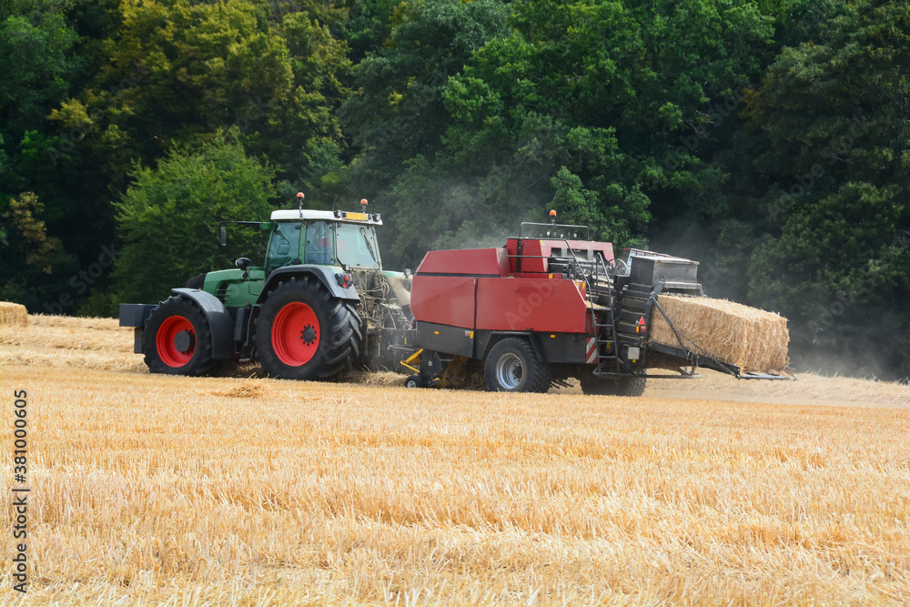 Obraz premium Moisson