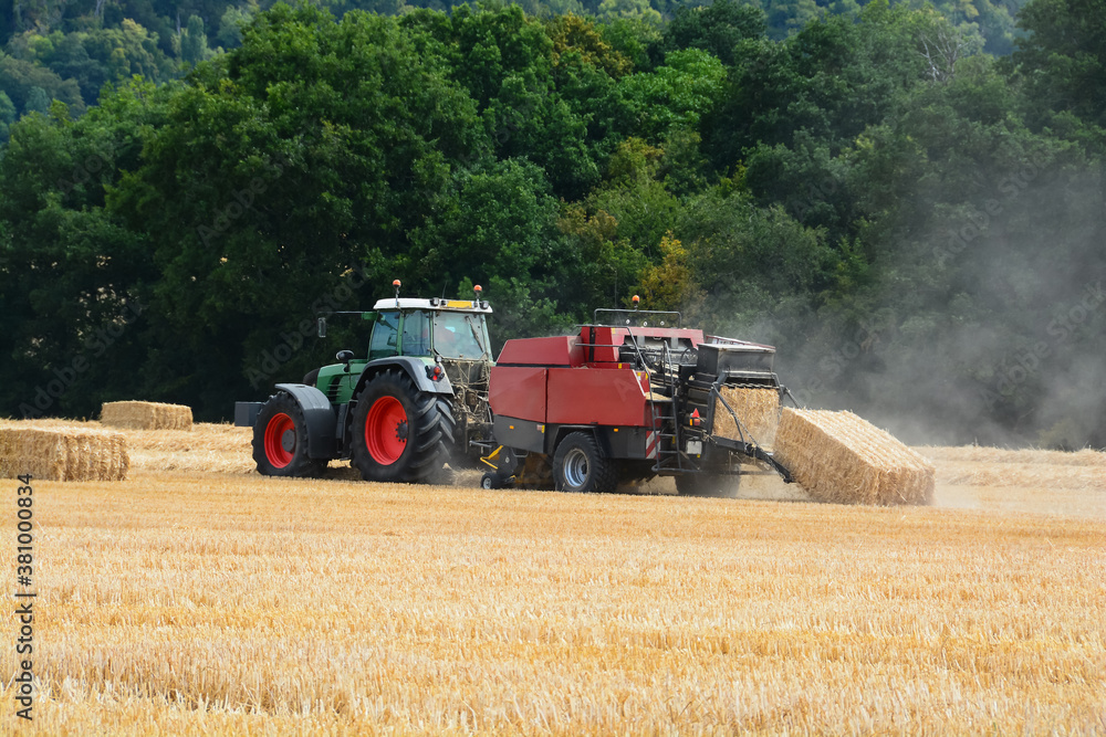 Obraz premium Moisson