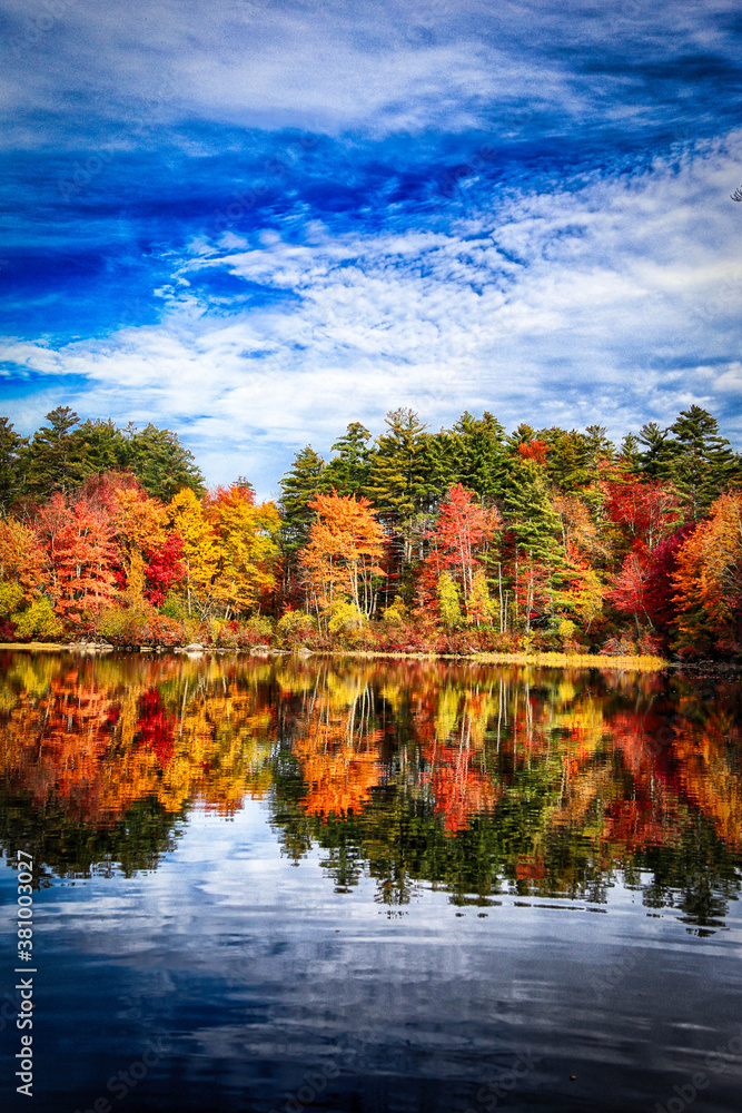 Autumn Landscape 