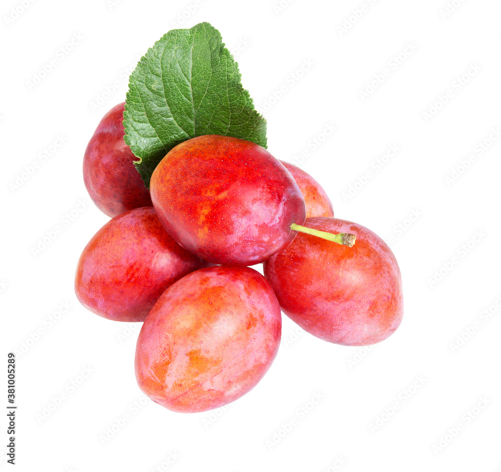 Plums isolated on White.