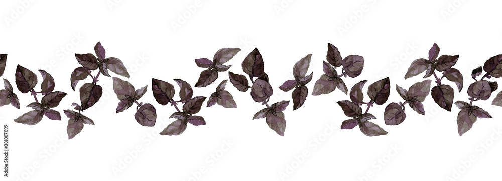 Seamless border of purple basil twigs and leaves, isolated on white. Watercolor illustration. For culinary book, recipes, menu, duct tape, ribbon and packaging design.