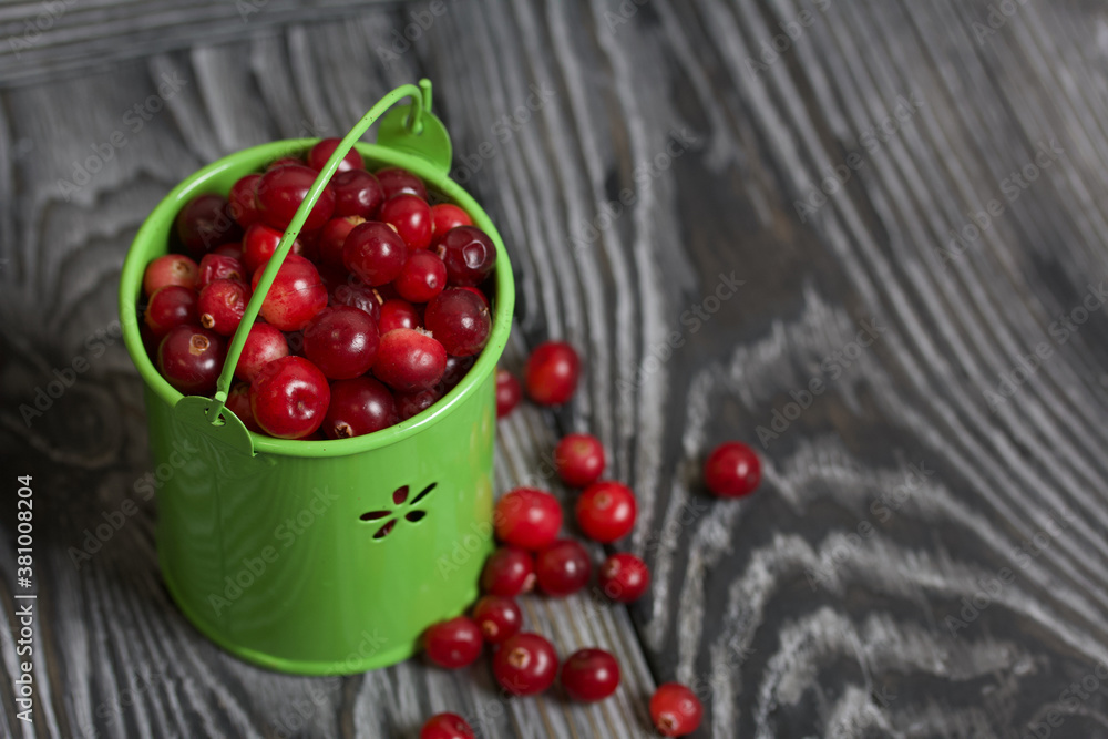 Red cranberries in a miniature green bucket. Stands on brushed boards. Some berries are scattered nearby. Red cranberries in a miniature green bucket. Stands on brushed boards. Some berries are scattered nearby.