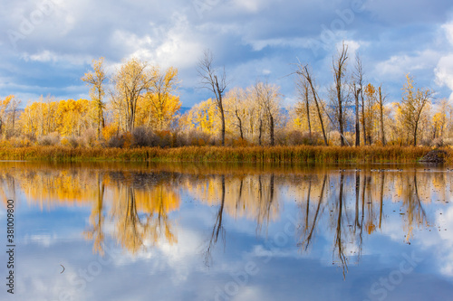Autumn scene of a pond with colorful trees and clouds reflected in water in the Flathead Valley, Montana
