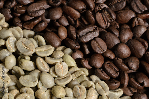 Foto Kaffeebohnen Kaffee Bohnen roh und geröstet 
Rohkaffee Röstkaffee