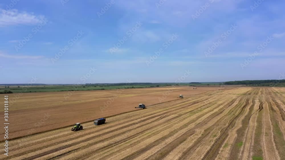 Harvesting of wheat in summer. Two harvesters working in the field. Combine harvester agricultural machine collecting golden ripe wheat on the field. View from above Harvesting of wheat in summer. Two harvesters working in the field. Combine harvester agricultural machine collecting golden ripe wheat on the field. View from above