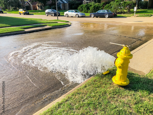 Testing yellow fire hydrant gushing water across a residential street near Dallas, Texas, USA
