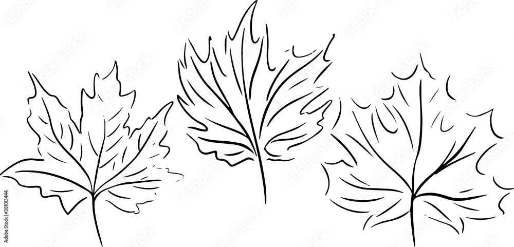 black outline of autumn leaves sketch icons pattern set