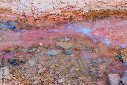 Colorful Rocks In The Tropic Ditch, Bryce Canyon National Park, Utah, USA