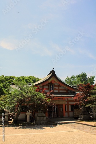 Wallpaper Mural 福岡市の紅葉八幡宮社殿 Torontodigital.ca