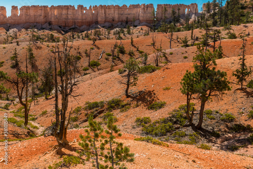 Obraz na plátně Wall Of Windows,Fairyland Loop Trail,Bryce Canyon National Park,Utah,USA