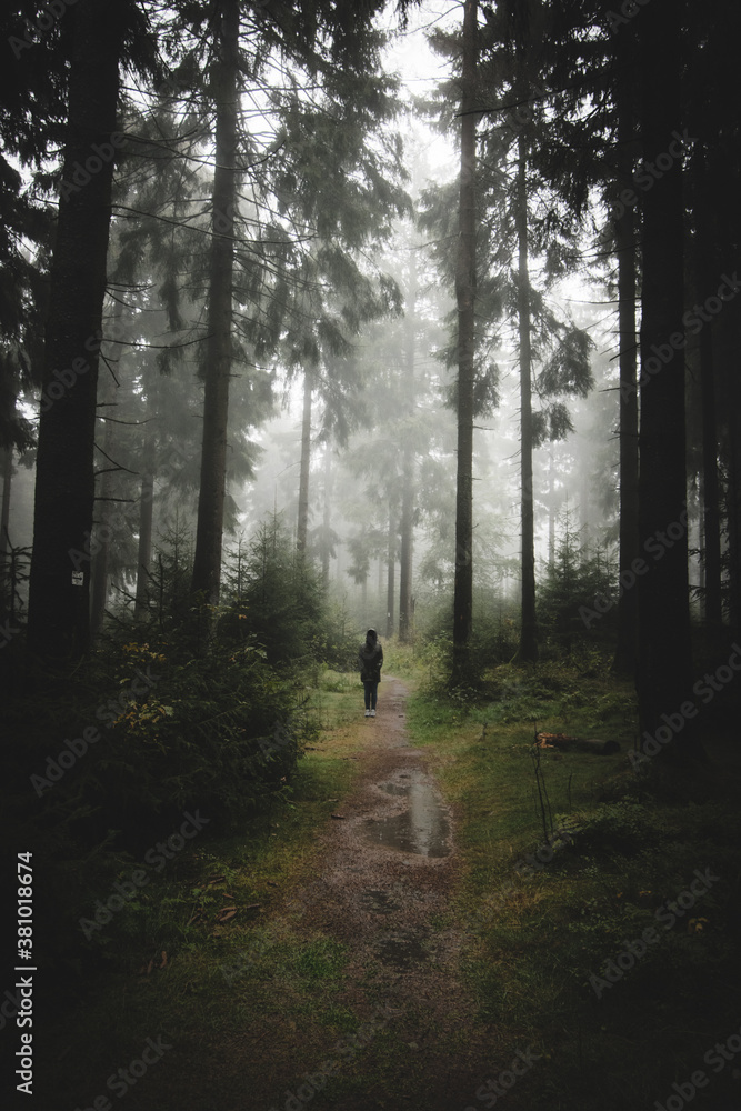 thick fog on a path in the dark autumn forest with a mysterious silhouette of a person