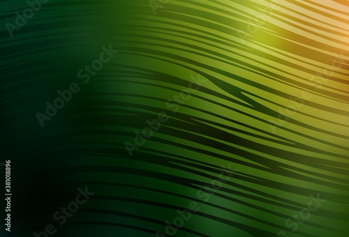 Dark Green  Red vector layout with wry lines.