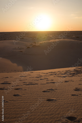 sunset on desert