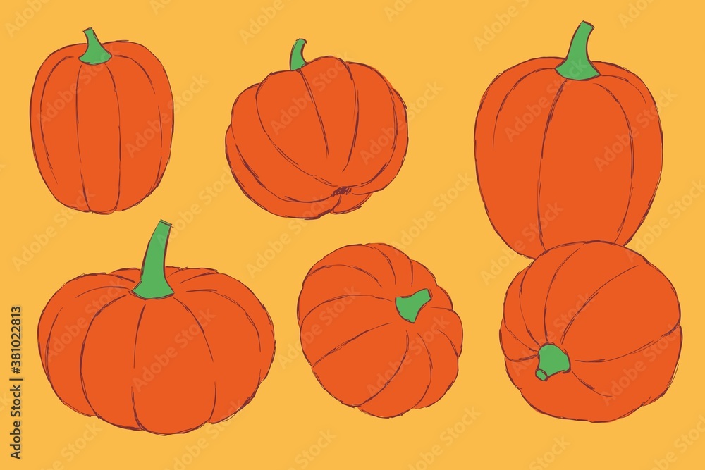 Collection of pumpkins of different shapes, hand-drawn.