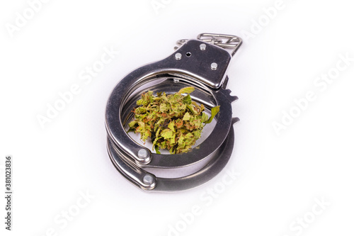 handcuffs and marijuana close-up isolated on white background, cannabis laws
