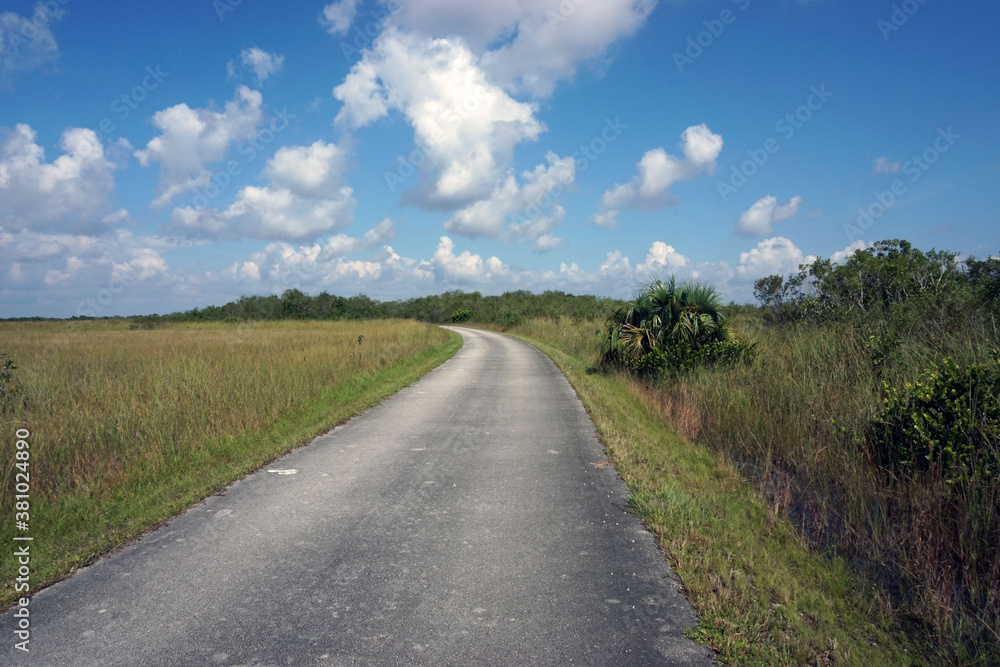 Bike Path Through Florida Wetlands