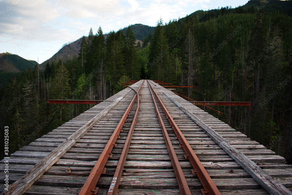 Fototapeta premium Old railroad bridge over a valley.