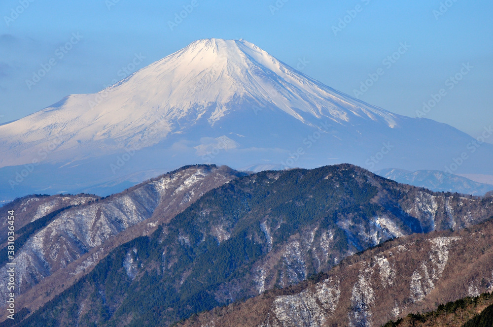 冬の富士山 丹沢の烏尾山から望む