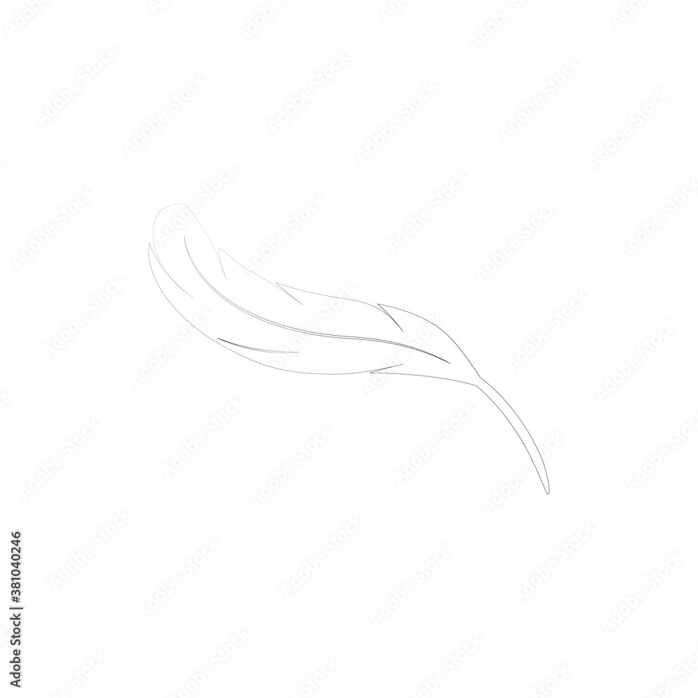 feather logo feather logo
