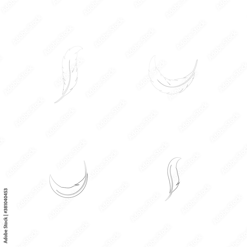 Obraz premium feather logo