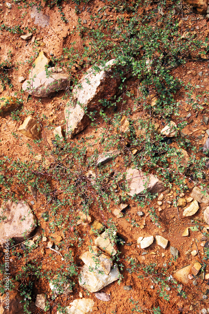 Wet ground, yellow soil, there are many small stones, details of the texture Wet ground, yellow soil, there are many small stones, details of the texture