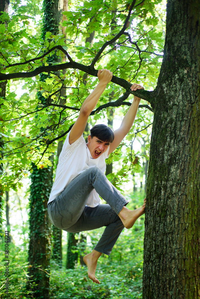 Young man trying to climb a tree. Guy in a tree on a big branch. Young man trying to climb a tree. Guy in a tree on a big branch.